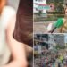 Activan rutas de atención para prevenir violencias durante el elecciones y fiestas en el Tolima