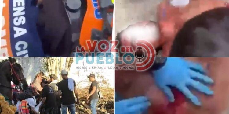 Corralejas y cabalgatas dejan una persona luchando por su vida, caballistas heridos y un caballo al borde de la muerte en El Espinal