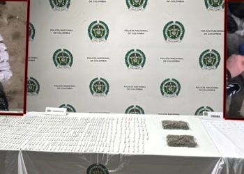 Dos capturados y más de 740 dosis de estupefacientes incautadas en operativos en Ibagué