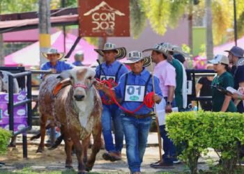 Secretario de Gobierno explicó que recomendaron reprogramar feria equina por coincidencia con elecciones y eventos del Festival Folclórico