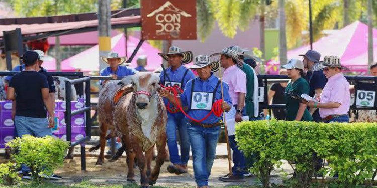 Secretario de Gobierno explicó que recomendaron reprogramar feria equina por coincidencia con elecciones y eventos del Festival Folclórico