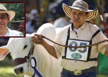 Gerente de Comité de Ganaderos del Tolima expresó preocupación por aplazamiento de la Feria Agropecuaria