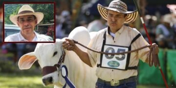 Gerente de Comité de Ganaderos del Tolima expresó preocupación por aplazamiento de la Feria Agropecuaria