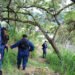 Con internos del Coiba de Picaleña realizaron intervención en San Simón parte baja