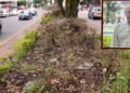 Concejal William Rosas propone revisar la ruta de los desfiles tras daños al ornato de la carrera Quinta
