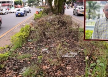 Concejal William Rosas propone revisar la ruta de los desfiles tras daños al ornato de la carrera Quinta