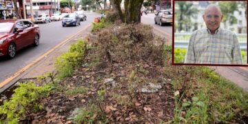 Concejal William Rosas propone revisar la ruta de los desfiles tras daños al ornato de la carrera Quinta