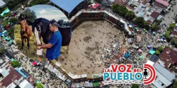 Animalista del Tolima exige explicaciones por corralejas y cabalgatas en El Espinal para evitar tragedia del 2022