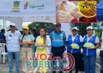 67 fallecidos por Fiebre Amarilla impulsan vacunación masiva en el Tolima durante fiestas