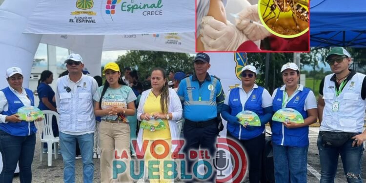 67 fallecidos por Fiebre Amarilla impulsan vacunación masiva en el Tolima durante fiestas