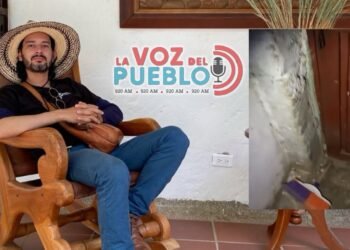 Intentaron robar ‘Prudencio’ el influencer de Chaparral