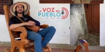 Intentaron robar ‘Prudencio’ el influencer de Chaparral