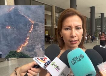 Quemas controladas desatan emergencia ambiental en el Tolima: ya van 100 hectáreas afectadas