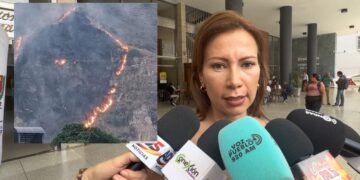 Quemas controladas desatan emergencia ambiental en el Tolima: ya van 100 hectáreas afectadas