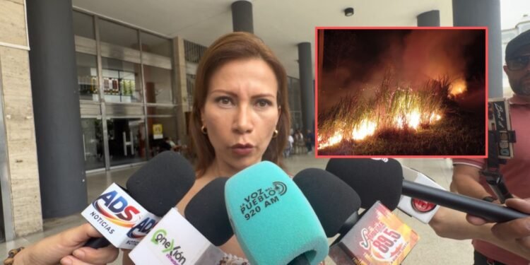 En plena temporada de incendios, municipios del Tolima siguen sin convenio de bomberos