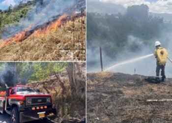 Incendio de cobertura vegetal consumió nueve hectáreas en zona rural del Líbano