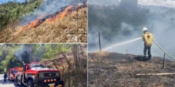 Incendio de cobertura vegetal consumió nueve hectáreas en zona rural del Líbano