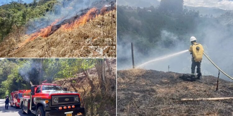 Incendio de cobertura vegetal consumió nueve hectáreas en zona rural del Líbano