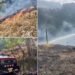 Incendio de cobertura vegetal consumió nueve hectáreas en zona rural del Líbano