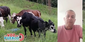 “Nos estafó y se escuda en ser juez”: ganadero denuncia millonaria deuda contra funcionario judicial del Tolima