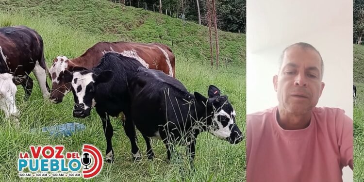 “Nos estafó y se escuda en ser juez”: ganadero denuncia millonaria deuda contra funcionario judicial del Tolima