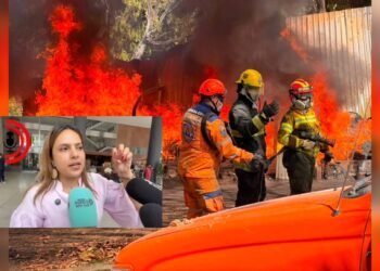 Ocho municipios del Tolima reportaron incendios forestales en el puente de la Virgen de Chiquinquirá