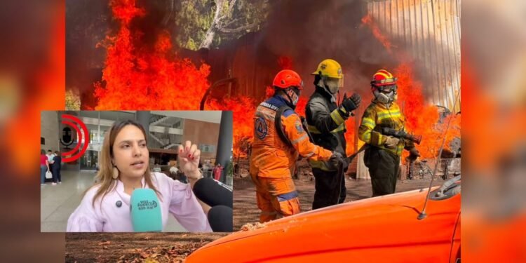 Ocho municipios del Tolima reportaron incendios forestales en el puente de la Virgen de Chiquinquirá