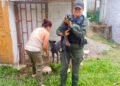 Presunto maltrato y abandono atendió el CAPA de Ibagué
