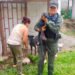 Presunto maltrato y abandono atendió el CAPA de Ibagué