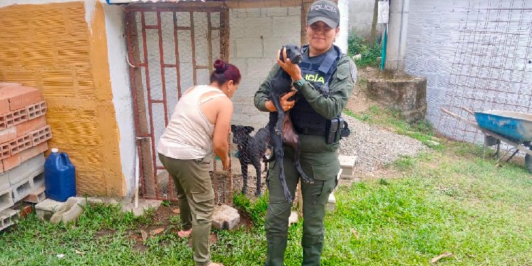 Presunto maltrato y abandono atendió el CAPA de Ibagué