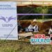 En el Tolima se han recuperado 168 cuerpos, pero advierte que aún hay más de 3.300 personas desaparecidas por buscar