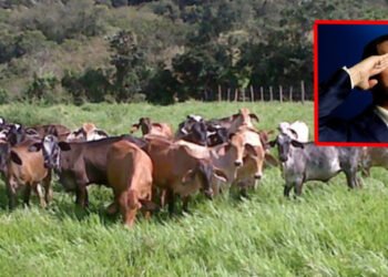 Fortalecer la agroindustria y la seguridad en el campo pedido al nuevo Gobierno de Abelardo de La Espriella