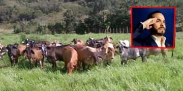 Fortalecer la agroindustria y la seguridad en el campo pedido al nuevo Gobierno de Abelardo de La Espriella