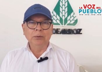 Arroceros del Tolima advierten que alivios del Gobierno llegan tarde y no resuelven la crisis del campo