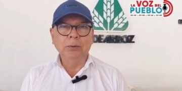 Arroceros del Tolima advierten que alivios del Gobierno llegan tarde y no resuelven la crisis del campo