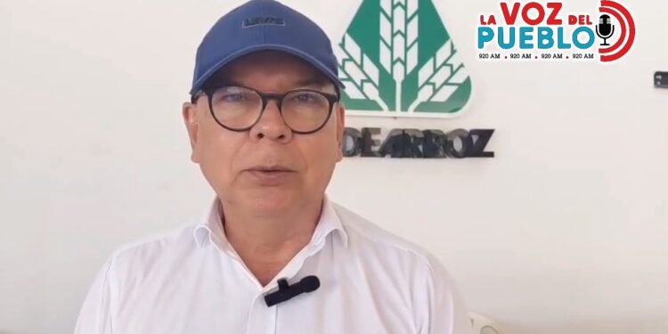 Arroceros del Tolima advierten que alivios del Gobierno llegan tarde y no resuelven la crisis del campo