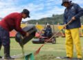 Imdri avanza en mantenimiento del gramado del estadio Manuel Murillo Toro