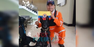 Un rescatista de Ibagué y su perro participaron en la búsqueda de sobrevivientes tras los terremotos en Venezuela
