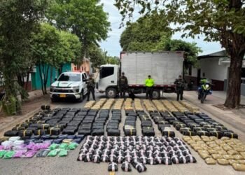 ¡Se les cayó el viaje! Más de una tonelada de marihuana quedó en manos de las autoridades en Coyaima