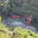 ¡Tragedia en El Guamo! Ciclista murió tras caer a un canal de riego