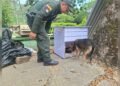 Rescatan a “Saltarina” y a sus seis cachorros en zona rural de Ataco