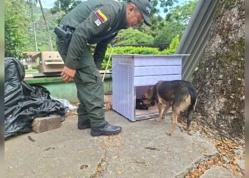 Rescatan a “Saltarina” y a sus seis cachorros en zona rural de Ataco