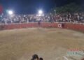 ¡Terror en Castilla! Toro saltó a las graderías y convirtió la fiesta en una estampida
