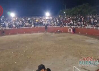 ¡Terror en Castilla! Toro saltó a las graderías y convirtió la fiesta en una estampida