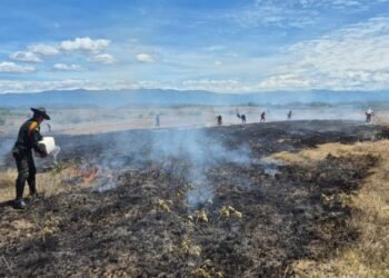 ¡Alerta por incendio en territorio indígena! Las llamas amenazaron la cobertura vegetal en Coyaima