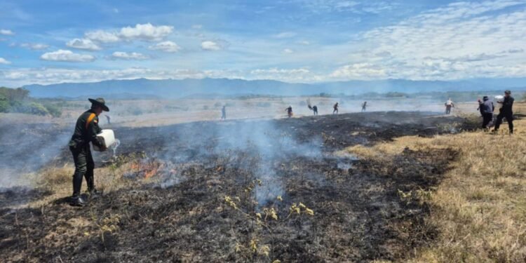 ¡Alerta por incendio en territorio indígena! Las llamas amenazaron la cobertura vegetal en Coyaima