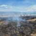 ¡Alerta por incendio en territorio indígena! Las llamas amenazaron la cobertura vegetal en Coyaima