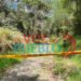 ¡A sangre fría! Encuentran a un hombre asesinado con un cartel sobre su cuerpo en Mariquita