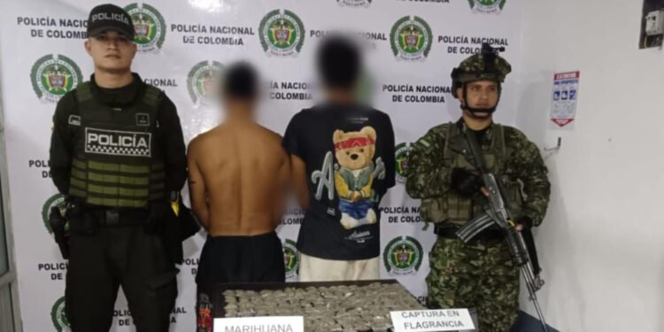 Sorprendidos con marihuana lista para distribución: dos hombres fueron capturados en Planadas
