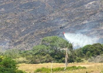 Incendio en el Alto de Gualanday fue controaldo en un 95 %